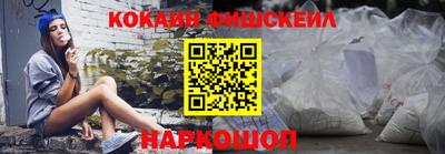 гашик Камышлов
