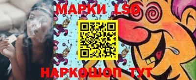 гашик Камышлов