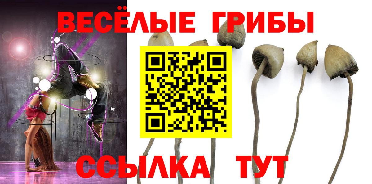 Псилоцибиновые грибы MAGIC MUSHROOMS Кызыл