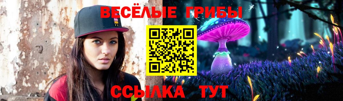 Кызыл  Галлюциногенные грибы прущие грибы  Вход с VPN 