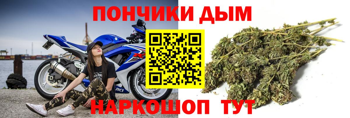 Бошки марихуана ГИДРОПОН Кызыл